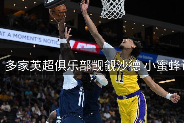 多家英超俱乐部觊觎沙德 小蜜蜂设高额转会门槛