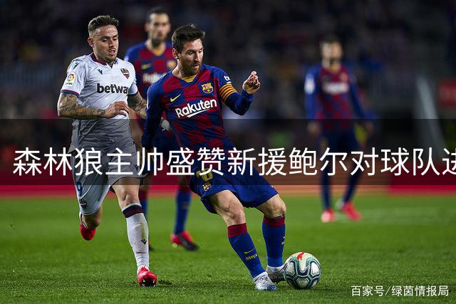 森林狼主帅盛赞新援鲍尔对球队进攻体系的关键贡献